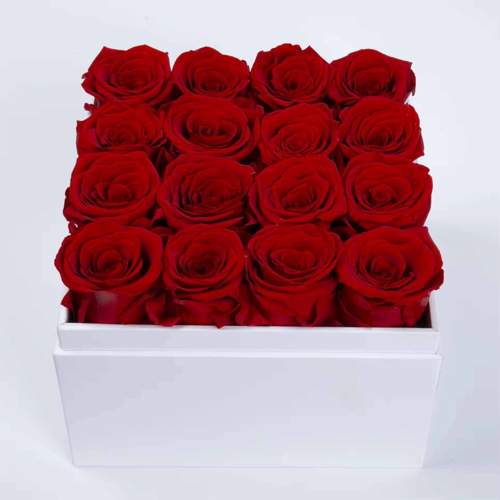 Preserved Forever Roses