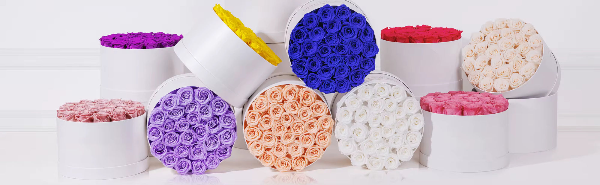 Preserved Forever Roses