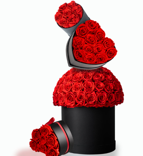 Preserved Forever Roses