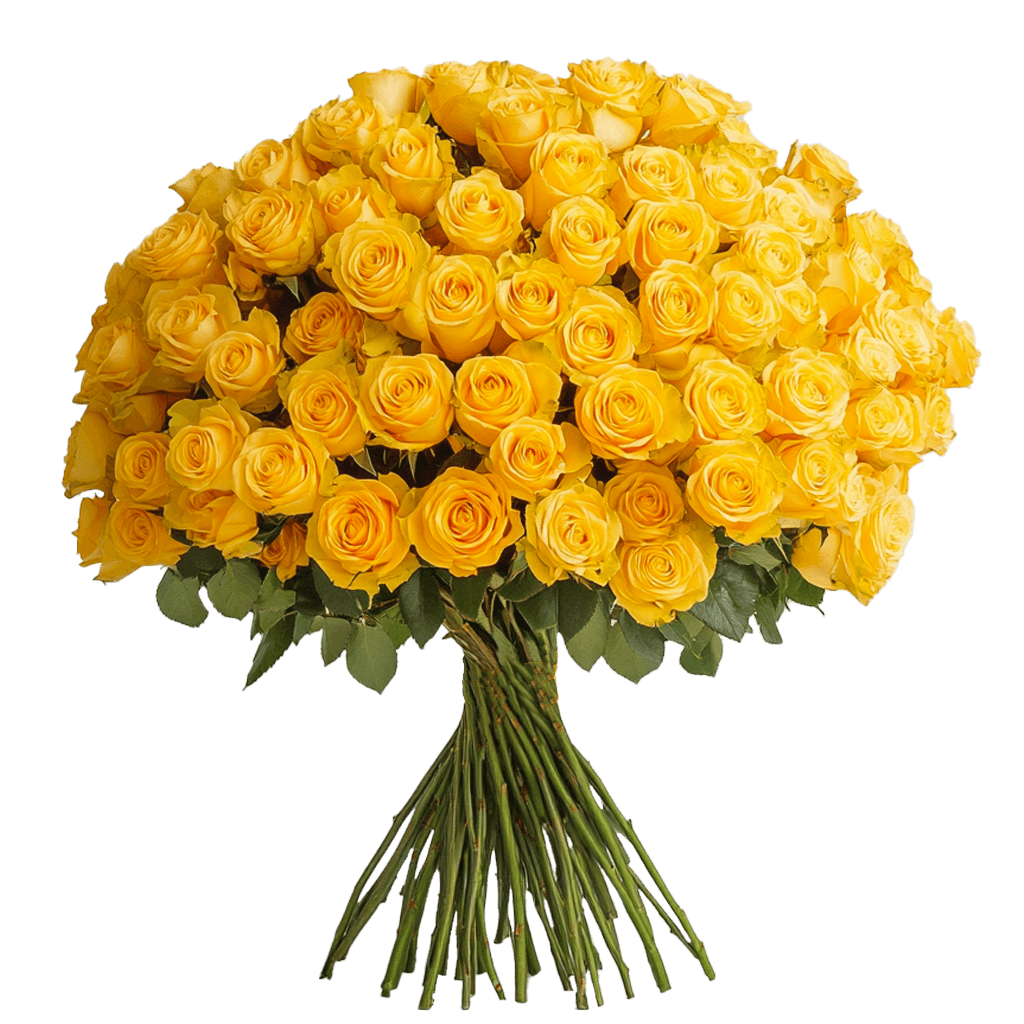 Fresh Long-Stem Roses