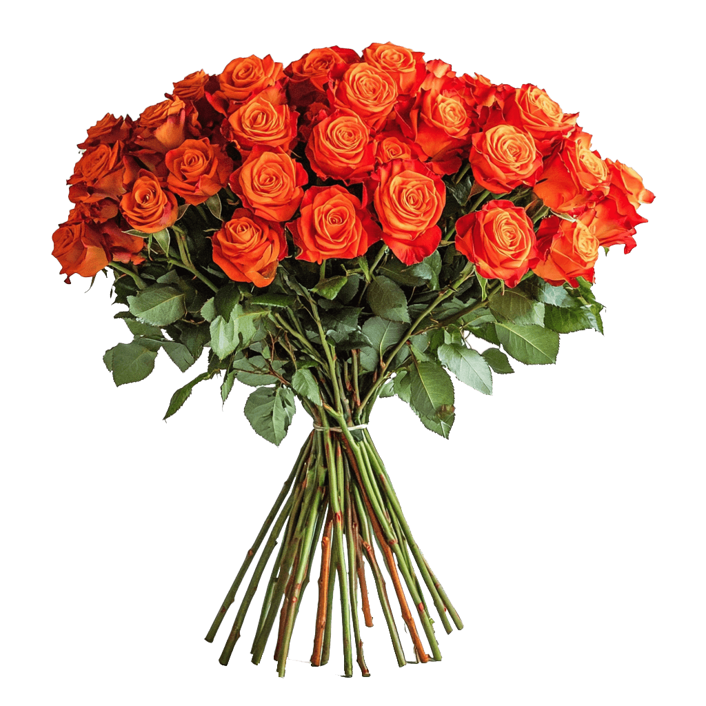 Fresh Long-Stem Roses