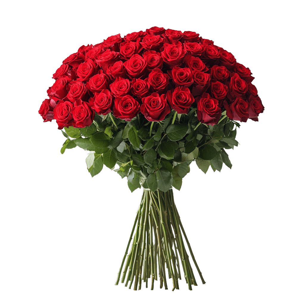 Fresh Long-Stem Roses