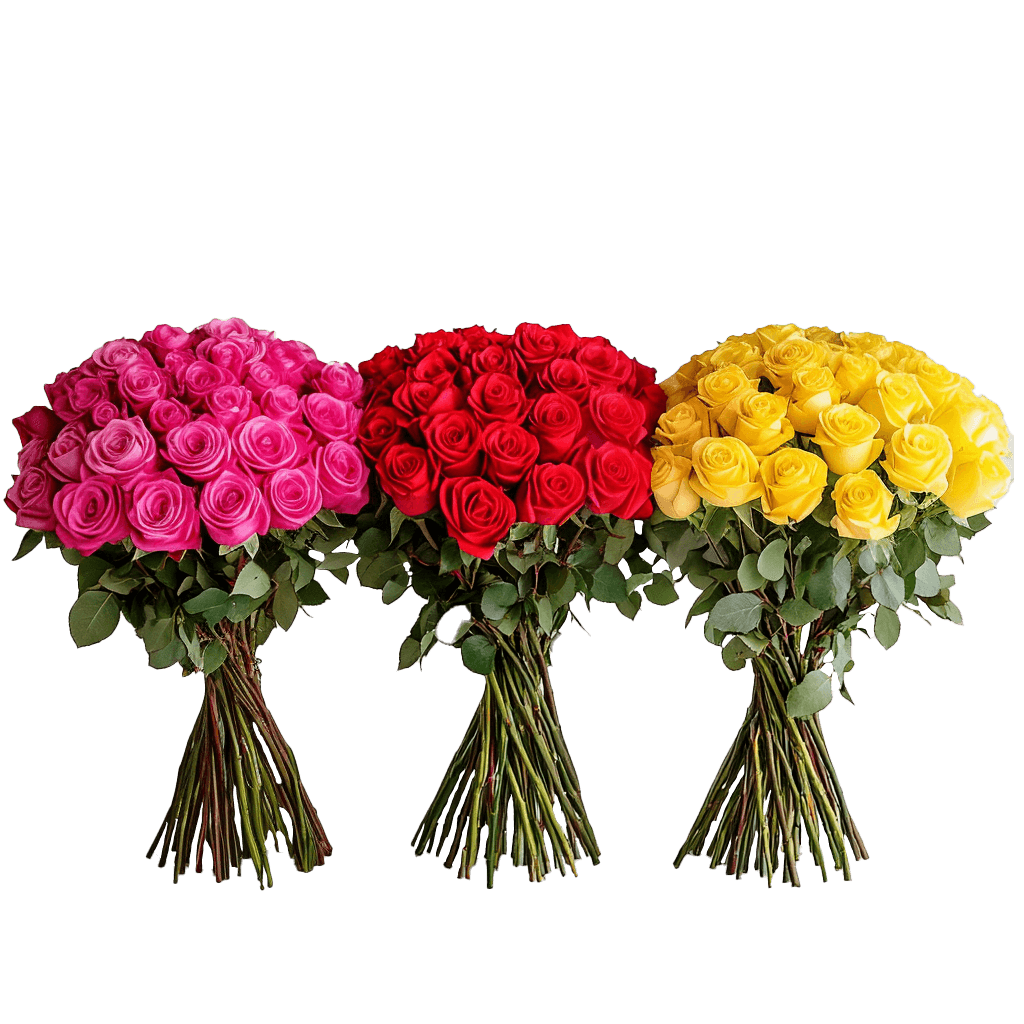 Fresh Long-Stem Roses