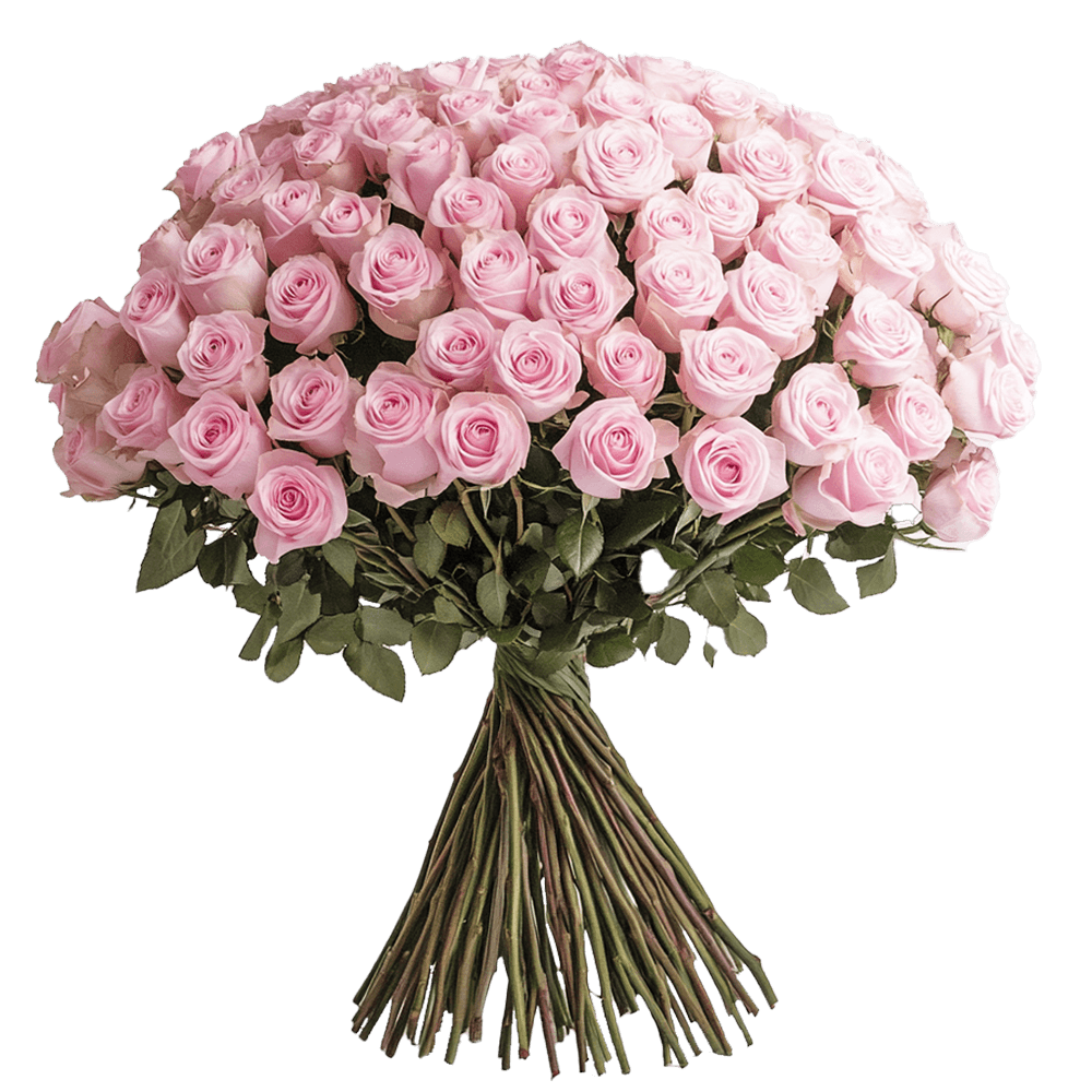 Fresh Long-Stem Roses